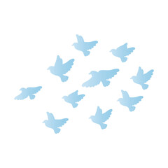鳥　群れ