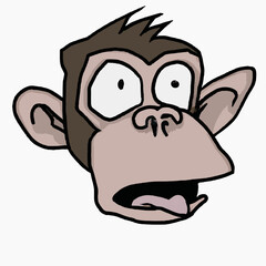 cartoon vector monkey head avatar  - 562598750