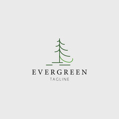 evergreen logo vector illustration design