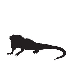 Iguana vector icon silhouette illustration isolated on white background. Simple flat clean shaped animal drawing.