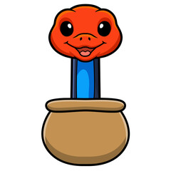 Cute red headed krait snake cartoon out from pot