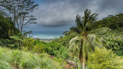 Obraz premium Lush tropical vegetation covers the hills - green grass, bushes, palm trees. The turquoise ocean is visible in the distance. Clouds in the blue sky. Seychelles. Mahe. Mission Lodge observation deck.