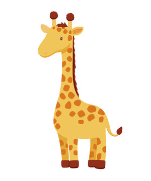 Cute giraffe in cartoon style. Drawing african baby wild animal isolated on white background. Vector sweet giraffe for kids poster and card. Jungle safari animal