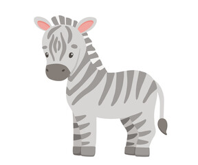Cute zebra in cartoon style. Drawing african baby wild animal isolated on white background. Vector sweet giraffe for kids poster and card. Jungle safari animal