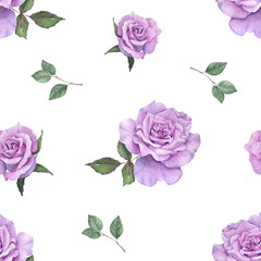 Purple Roses watercolor painting seamless