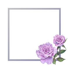A Frame of Purple rose Watercolor