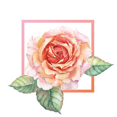 A Frame of Orange Rose watercolor