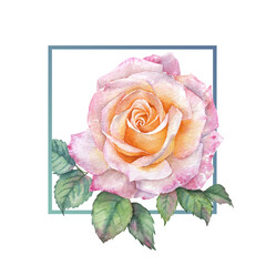 A Frame of Pink Rose watercolor painting