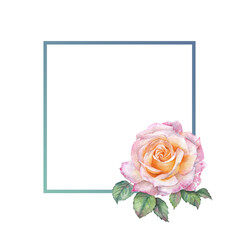 A Frame of Pink Rose watercolor painting