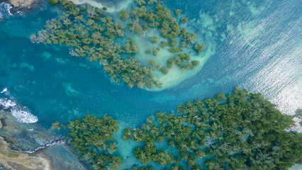 Aerial view of Mangrove forest, Mandalika surrounding area seascape aerial view