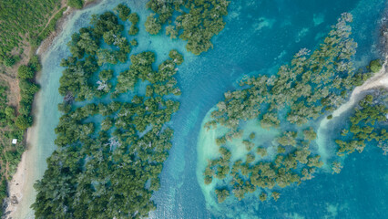 Aerial view of Mangrove forest, Mandalika surrounding area seascape aerial view © ady sanjaya