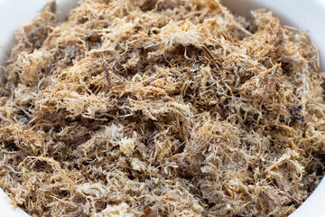 Dry sphagnum moss. Help plants retain moisture