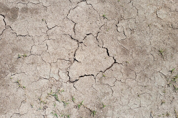 Top view of soil cracking