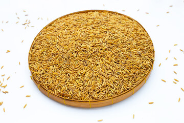 Paddy rice on white background.