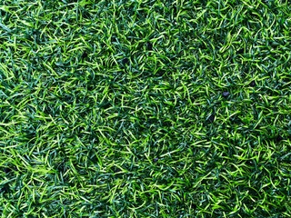 top view of artificial grass