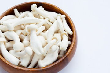 White beech mushrooms, Shimeji mushroom, Edible mushroom on white background.