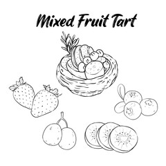 Sketch Line Mixed Fruit Tart Vector