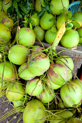Young coconut for drinking Division of young coconuts sold in the market