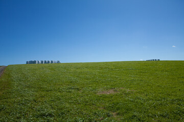 Summer ranch landscape with grass rolls