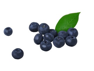 ブルーベリー