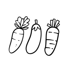 hand drawn vector illustration of vegetables