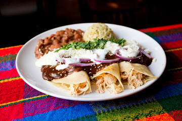 The fajita is one of the most traditional and popular dishes in Tex-Mex cuisine. It consists of meat roasted on the grill and cut into strips, served on a corn flour or wheat flour tortilla.