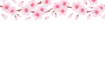 Fototapeta na wymiar 春の美しい桜のフレーム背景素材