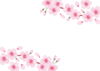 春の美しい桜のフレーム背景素材