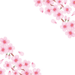 Fototapeta na wymiar 春の美しい桜のフレーム背景素材