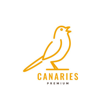 Bird Canary Singing Loud Long Tails Lines Art Minimal Logo Design Vector Icon Illustration Template