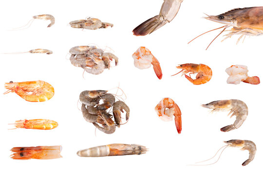 fresh shrimp cuisine food isolated on white background
