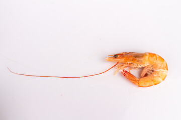 shrimp food orange shellfish isolated on white background