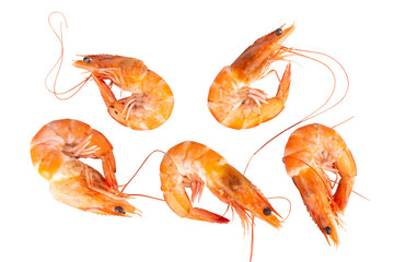 shrimp background texture isolated meal food fish