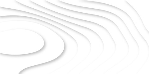 Abstract Luxury paper cut background, Abstract decoration, white pattern lines gradients, 3d Vector illustration, topographic canyon map light relief texture, curved layers.
