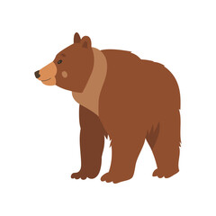 Cute brown bear looking away flat vector illustration. Drawing of wild grizzly bear cartoon character standing isolated on white background. Wildlife, nature concept