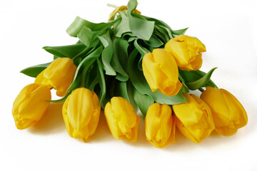 beautiful bouquet of yellow tulips isolated on white background.