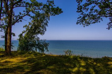 summer landscape with sea and escarpment trees in Jastrzebia Gora, Poland on a warm day