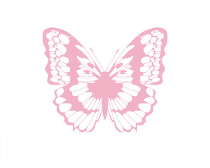 pink butterfly
