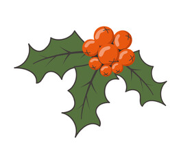Vector illustration of holly berries with green leaves isolated on white background. For postcard design. banners, web pages.