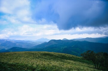 Fototapeta na wymiar HDR landscape of Eravikulam National Park showing greenery and clouds near hills of western ghat