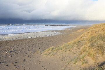 Idyllic sand beach in Agger, Jylland, Denmark