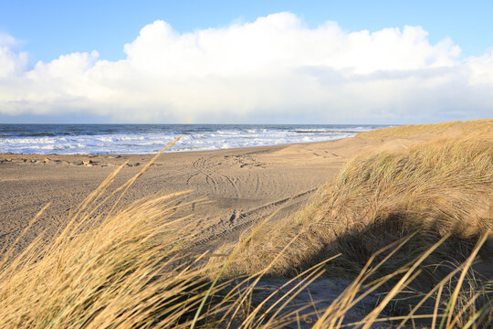 Idyllic North Sea coast in Agger, Jylland, Denmark