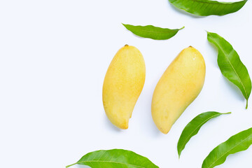 Tropical fruit, Mango  on white background.