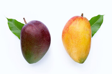 Tropical fruit, Mango with green leaf on white background.