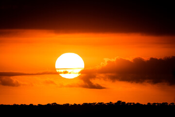 Bloody Sunset