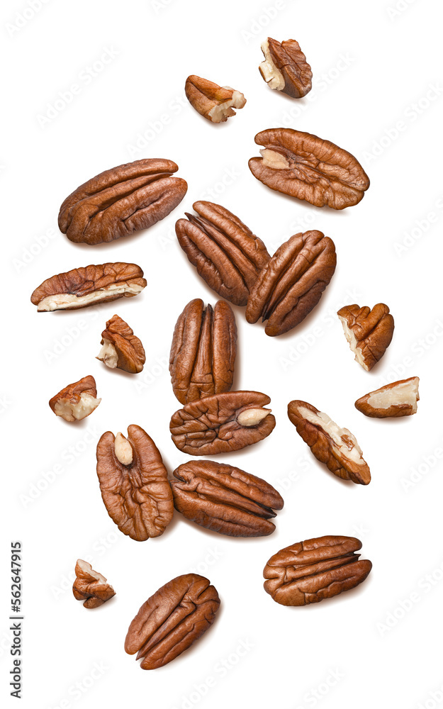 Poster fresh pecans isolated on white background. nuts scattered. top view. vertical layout. - Posters