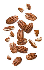Fresh pecans isolated on white background. Nuts scattered. Top view. Vertical layout. - obrazy, fototapety, plakaty