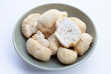 Fresh lion's mane mushroom on white background