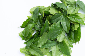 Fresh tiliacora triandra green leaves