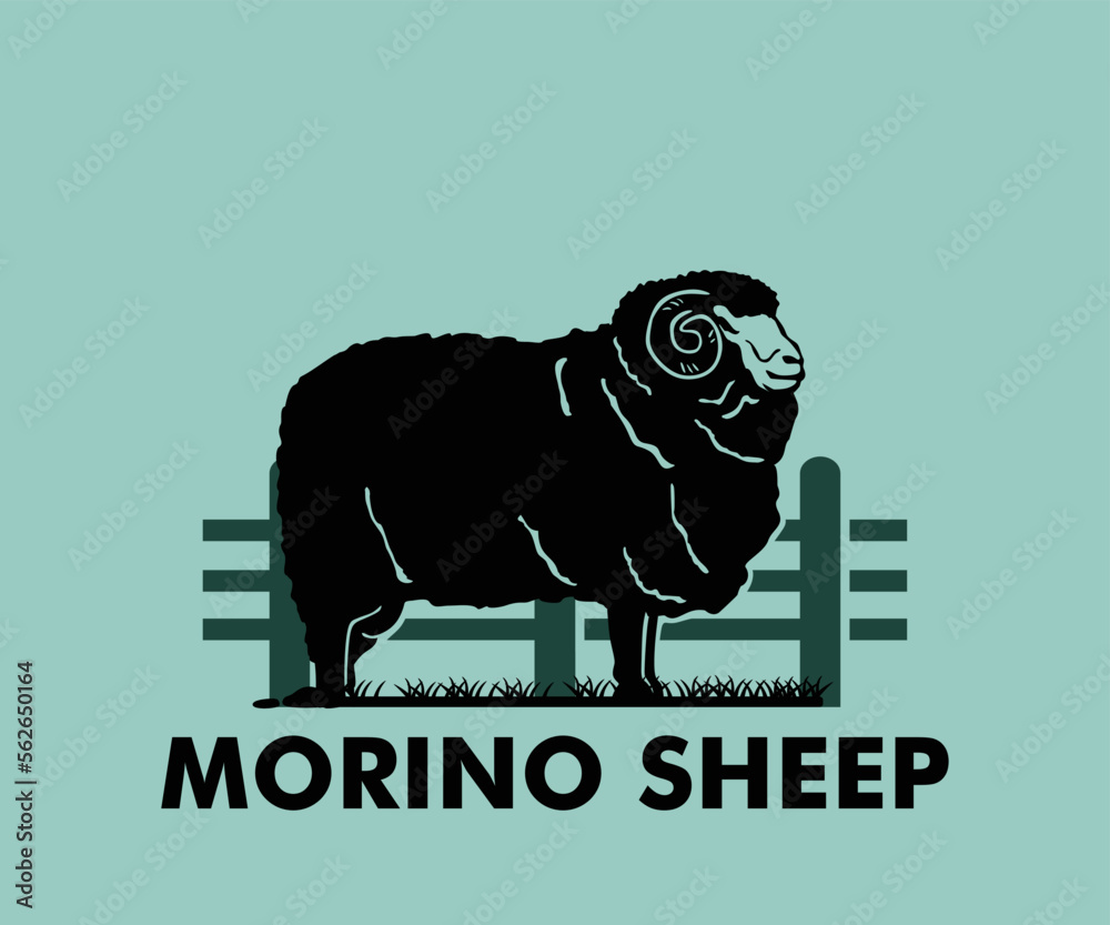 Wall mural merino sheep logo, great silhouette of big goat standing vector illustrations